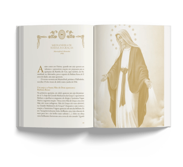 Box - Aparições de Nossa Senhora