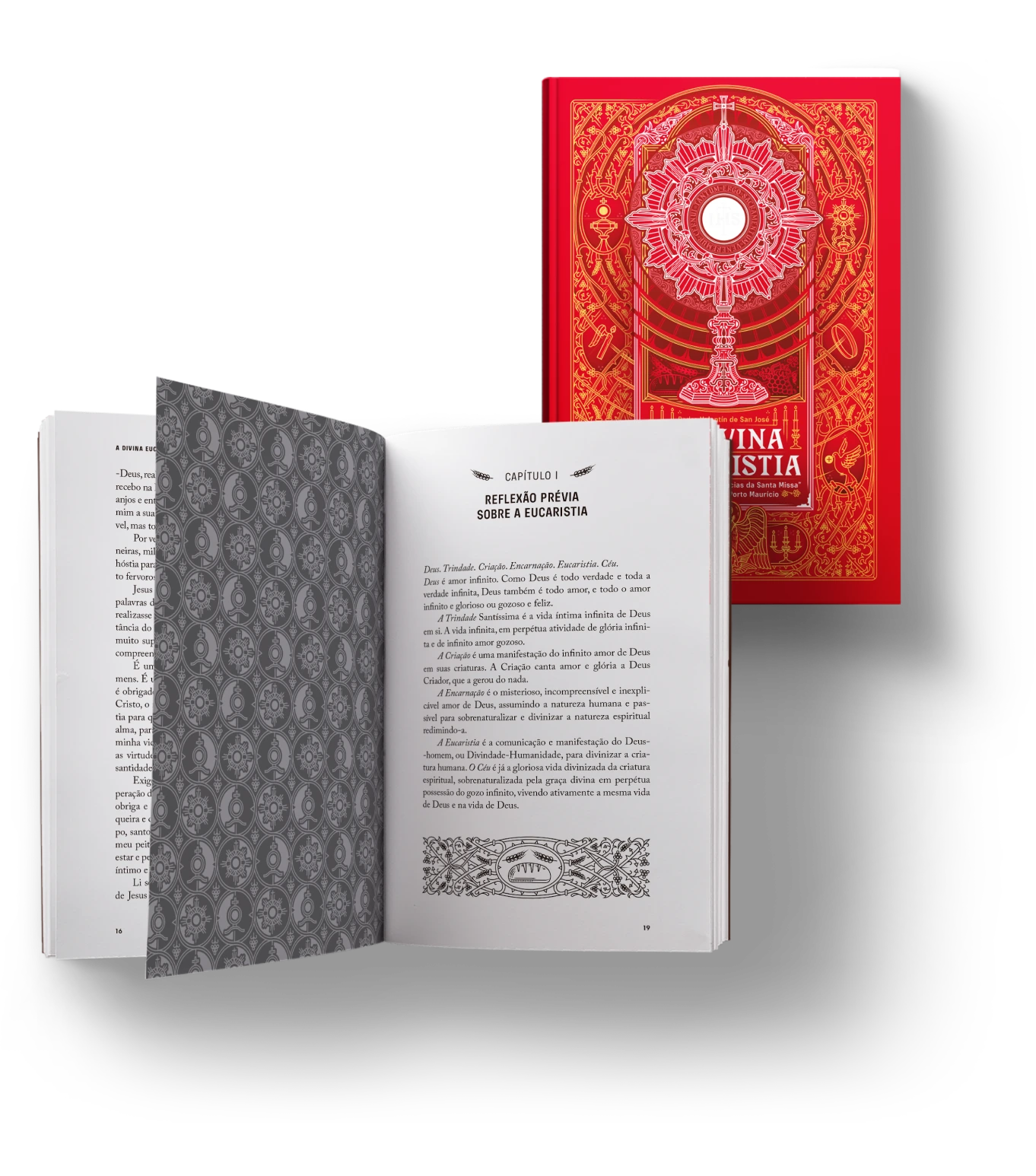 Livro sobre Sagrada Família da Minha Biblioteca Católica