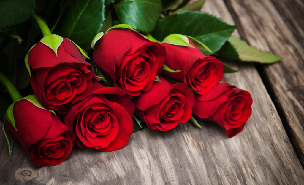 A graÃ§a recebida por meio da novena das rosas costuma ser acompanhada pelo recebimento de uma rosa enviada pela nossa querida santinha.