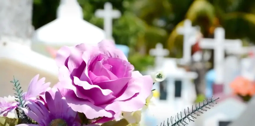 flores sobre o túmulo, dia de finados