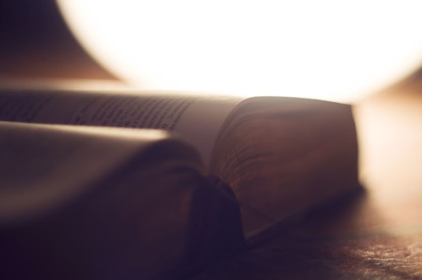 A importância do estudo e da formação em teologia para o leigo