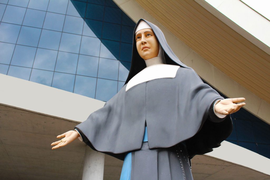 Vida de Santa Paulina do Coração Agonizante de Jesus